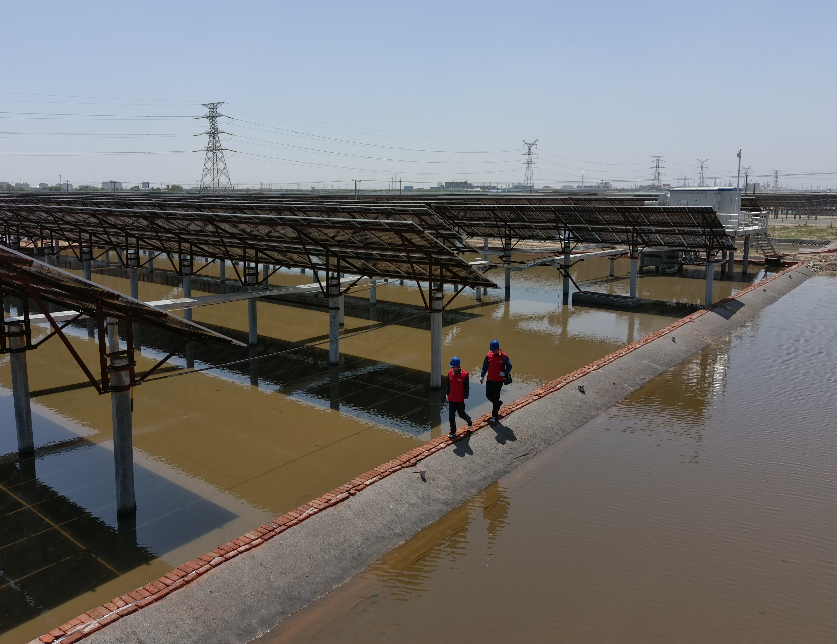 od(中国)省电线电缆行业od(中国) od(中国)省电线电缆行业od(中国)