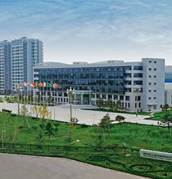 特变电工od（中国）鲁能泰山电缆有限公司